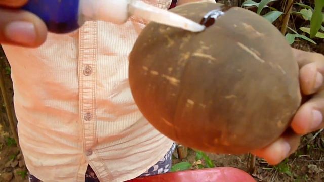 Coconut shell product (Fish )