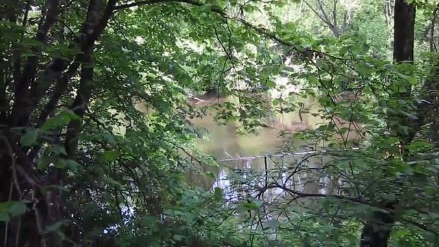 Древний Вщиж вдоль Десны к Дятьковичам смотреть онлайн