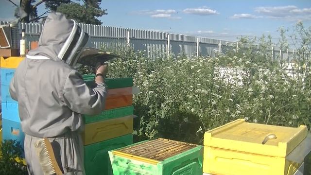 ? Объединение семей под медосбор ? смотреть онлайн