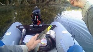 Беляевские карьеры -  рыбалки нет. .... 03.09.19.