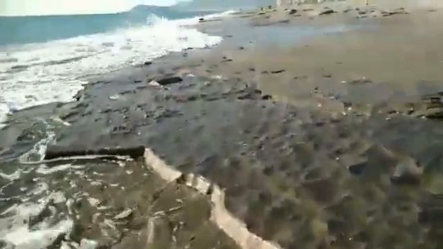 Прогулка вдоль моря 26 января Алания смотреть онлайн