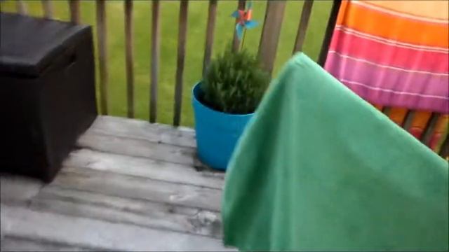 Show & Tell: Magical Garden Tour смотреть онлайн