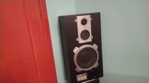 Восстановил старые советские колонки! Амфитон 35 ас 018