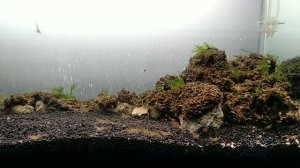 Как сделать аквариум без фильтрации биотоп.How to make a tank without filtering biotope
