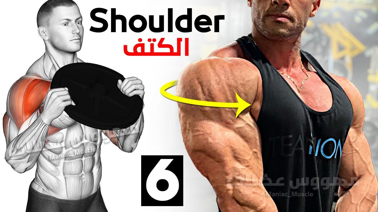 Как быстро накачать плечо (6 эффективных упражнений) смотреть онлайн
