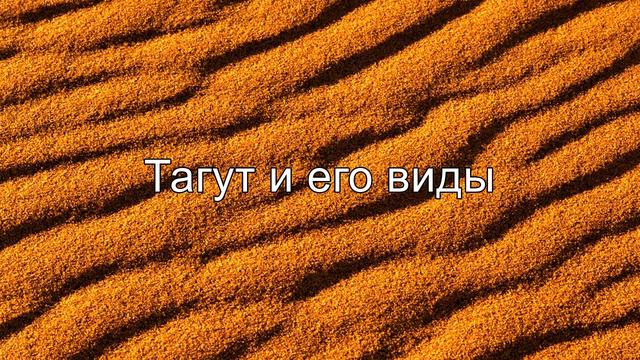 Тагут и его виды || Абу Яхья Крымский 2015г. смотреть онлайн