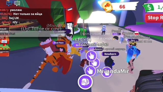 ТРЕЙДЫ НА Р КУРИЦУ! (ПЕРВОЕ ВИДЕО) смотреть онлайн