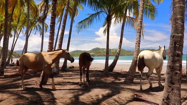 Music For Deep Sleep,Relaxation And MeditatioN.