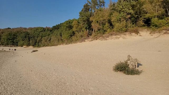 #Сукко. Плохие новости с Кипарисового озера. Его просто нет! (Папа с Юга) смотреть онлайн