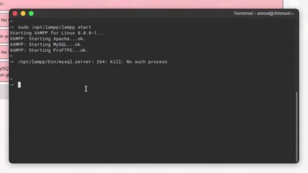 Fix Xampp Mysql 264 kill no such process (Access denied!) | Linux