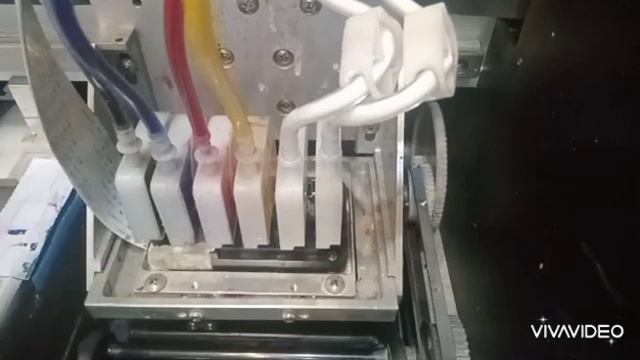 DTF 30 CM смотреть онлайн