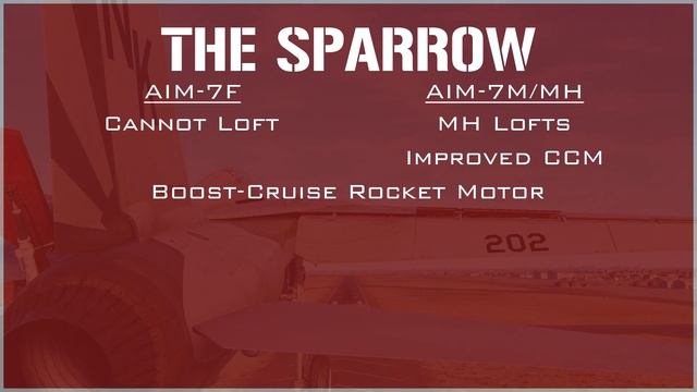 DCS F-14 Tomcat for DUMMIES Chapter 5: Missiles and You смотреть онлайн