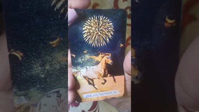 THE MUSE TAROT смотреть онлайн
