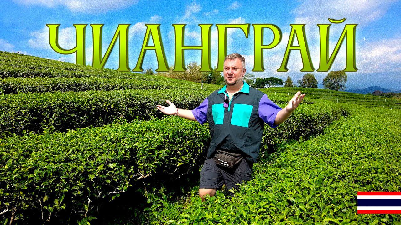 ТАИЛАНД 2024 ЧИАНГРАЙ. БЕЛЫЙ И СИНИЙ ХРАМЫ. ЧАЙНЫЕ ПЛАНТАЦИИ И ДРУГИЕ ИНТЕРЕСНЫЕ МЕСТА смотреть онлайн