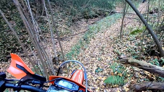 GR8 F300L 177FMM EFI Enduro Pro Первый выезд Первые впечатления