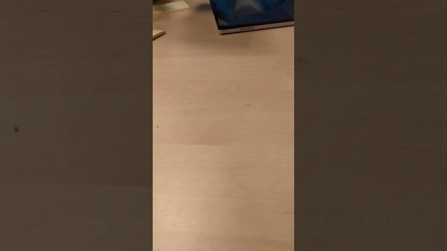 мне дают номер,чтобы я не попала больше в рабство. смотреть онлайн