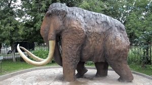 Мамонт. Палеопарк. Вера Ионкина