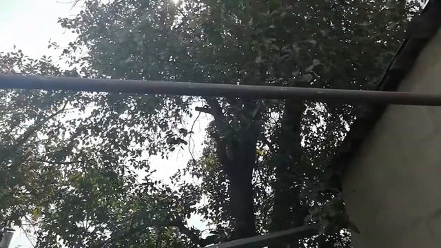 Груша Волгоград 23 08 2020 смотреть онлайн