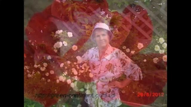 Мои любимые цветы на даче фото розы продолжение следует смотреть онлайн