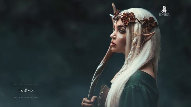 Enigmatic - The Social Song ( 1440 X 2560 50fps ).webm