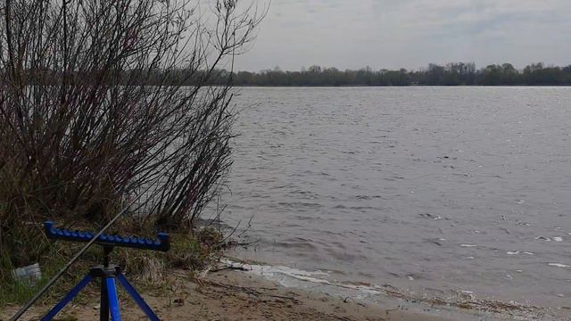 Весенний фидер/Только плотва/Видеоотчет апрель 2021 смотреть онлайн