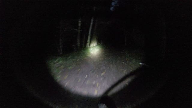Ночное в бутовском лесу смотреть онлайн