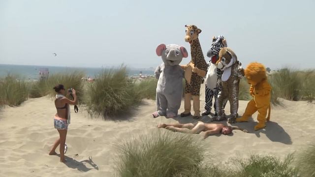 SAFARI (REMI GAILLARD) 🐯 смотреть онлайн