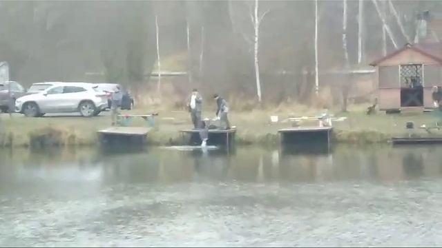 Светлые Горы Форель 5.11.11.23 смотреть онлайн