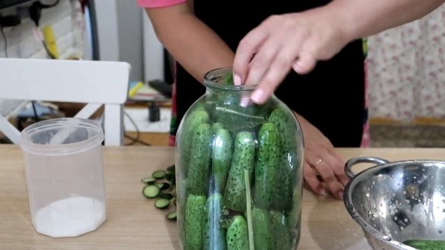 РЕЦЕПТ: МАЛОСОЛЬНЫЕ ОГУРЦЫ / ДНЕВНИК ДОМОХОЗЯЙКИ