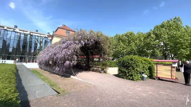 Jüdisches Museum | Berlin | Daniel Libeskind | Modern architecture tour - walking tour | 4K HDR смотреть онлайн