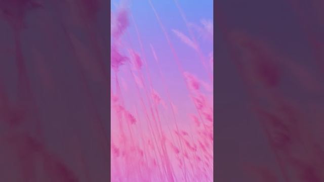 Эстетика имени Ксюша смотреть онлайн