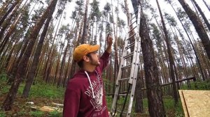 ✅Строим ДОМ на ДЕРЕВЕ ? КИНОТЕАТР БАНЮ БАССЕЙН В ЛЕСУ?