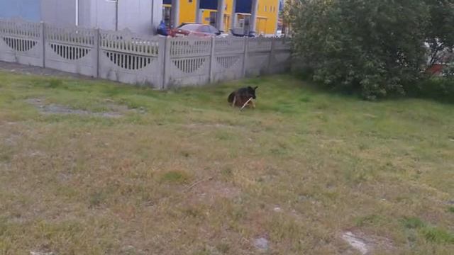 video 2014 05 08 18 55 59 смотреть онлайн