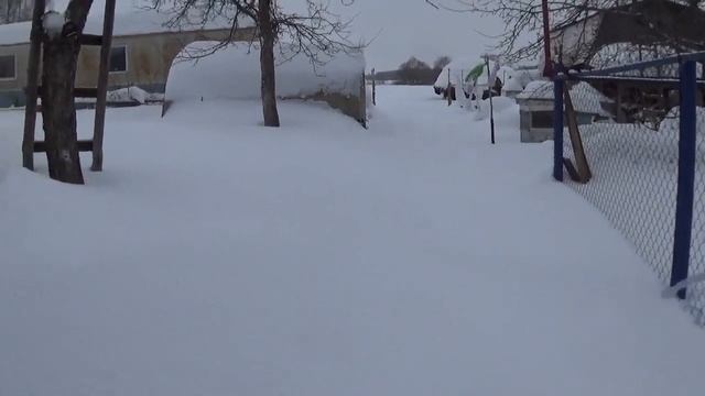 Будни Пенсионера, мартышкин труд смотреть онлайн