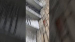 Тест универсальных ключей Спб заказал Яндекс маркет