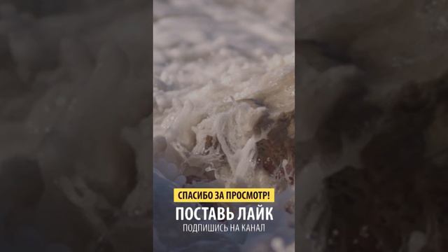 Светильники разума смотреть онлайн