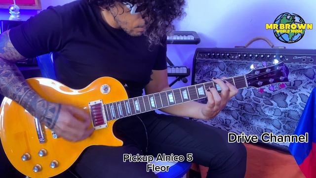 Fleor pickups Humbucker Alnico V Vs Pickup Ceramico Genérico (Español) смотреть онлайн
