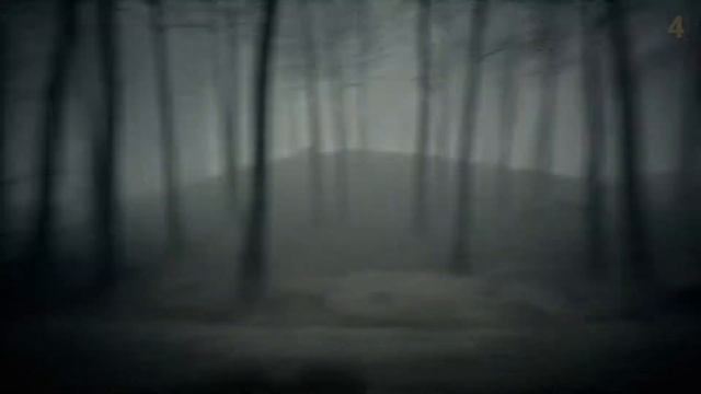 Dead Forest Gameplay смотреть онлайн