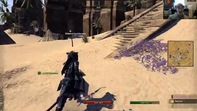 ESO New Addon and Randomness смотреть онлайн