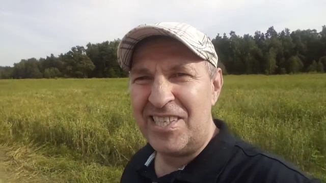 Поле овса и гороха в Купавне. смотреть онлайн