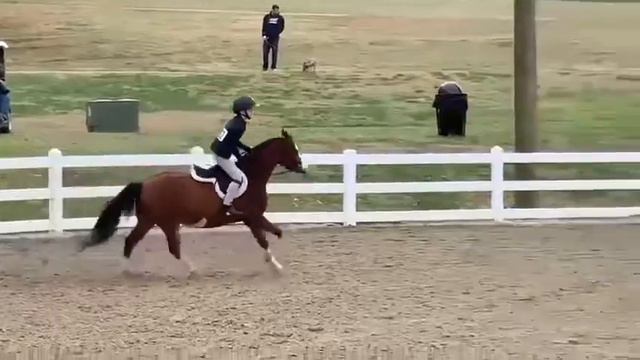 Rock ‘Em Sock ‘Em смотреть онлайн