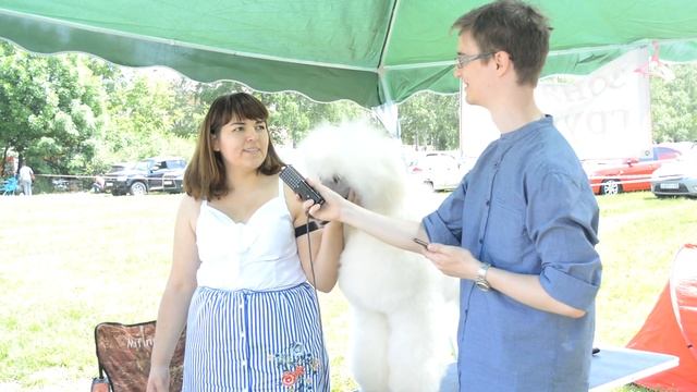 Презентация диванов для собак CANAPE JACK смотреть онлайн