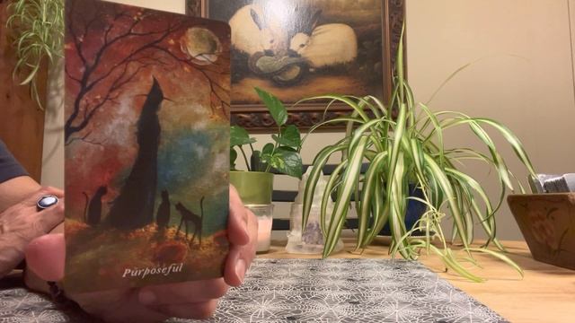 EACH ZODIAC SIGN: Oracle Message (following the lunar eclipse & full moon)??? смотреть онлайн