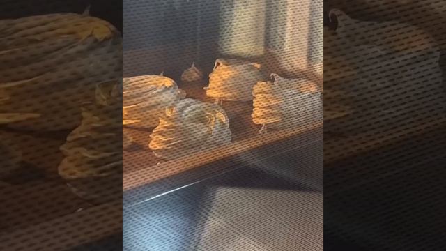 Рецепты на каждый день