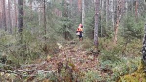 puuhastelua stihl fs 261