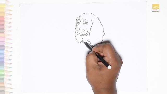 Cocker Spaniel dog drawing #2 | How to draw A Cocker Spaniel dog step by step | drawing tutorials смотреть онлайн