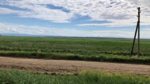 Раскрываем места ловли #2 Крюковский сбросной канал