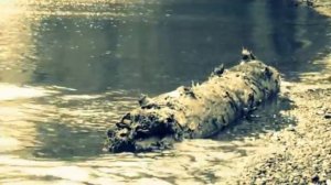 Фридерик Шопен - Прелюдия ми-минор (E-moll), Op.28: №.4.