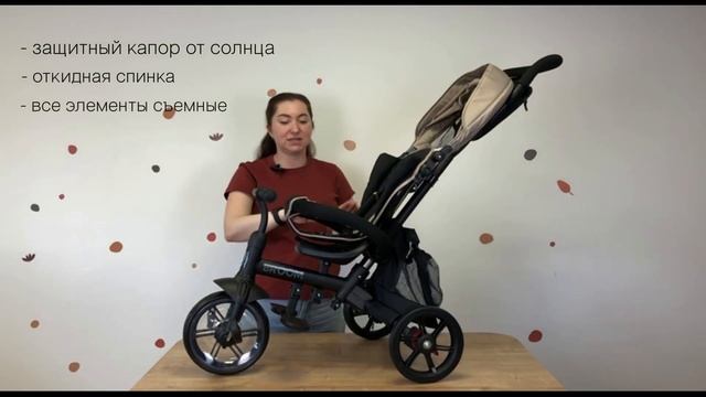 Трехколесный велосипед Forest Kids Broom