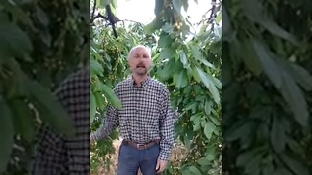 Александр Бражник автор КАК РАСТОПИТЬ ТВОЕ СЕРДЦЕ смотреть онлайн